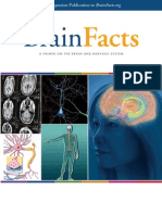 Brain Facts 2012