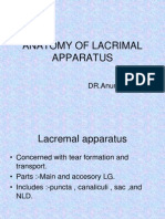 Anatomy of Lacrimal Apparatus