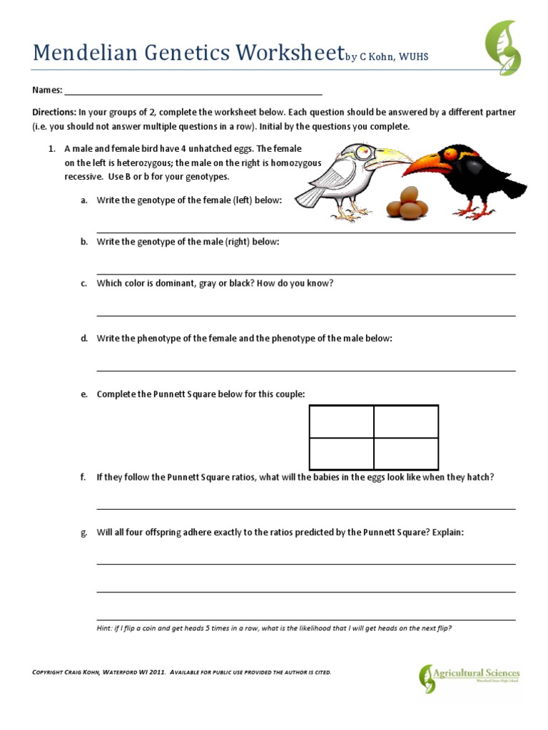 Mendelian Genetics Worksheet | Genotype | Dominance (Genetics)