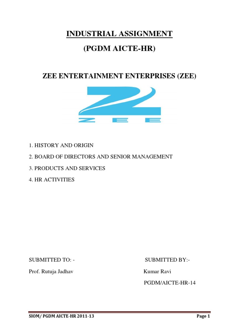 Zee Entertainment HR Assignment | PDF | Chief Executive Officer | Board ...