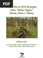 ALEGACIONS EsIA Pedras Negras Web Feb 2013