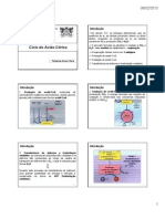 Ciclo de Krebs