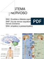 Sistema Nervoso