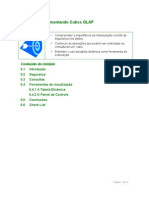 AcadBI Modulo5