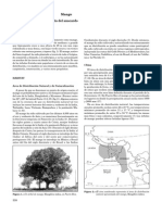 Mangiferaindica PDF