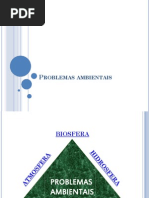 6 Problemas Ambientais