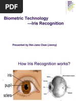 Iris Scanning | PDF | Biometrics | Fingerprint