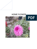 Home Flower
