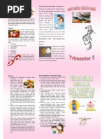 Leaflet ASI Ekslusif Leaflet Gizi Ibu Hamil