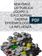 Cadena Epidemiologica de La Influenza