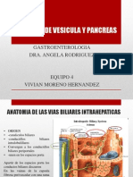 Vesicula y Pancreas Anatomia