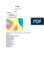 Aparato de Golgi.doc