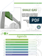 Exposicion Shale Gas