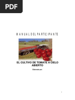 Cultivo de Jitomate a Cielo Abierto