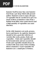 Download Hamster by Ajib JB SN130454883 doc pdf