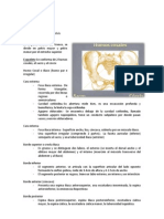 Pelvis Documento