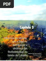 Capítulo 3 - Influência solo fogo na distribuição  e dinâmica das fitofisionomias no bioma do cerrado