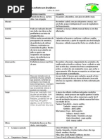 Epocas de Plantio e Colheita Em Frutiferas