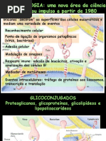glicobiologia