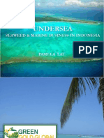 Undersea: Seaweed & Marine Business in Indonesia
