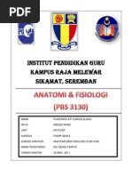 SURAT MEMOHON MAAF