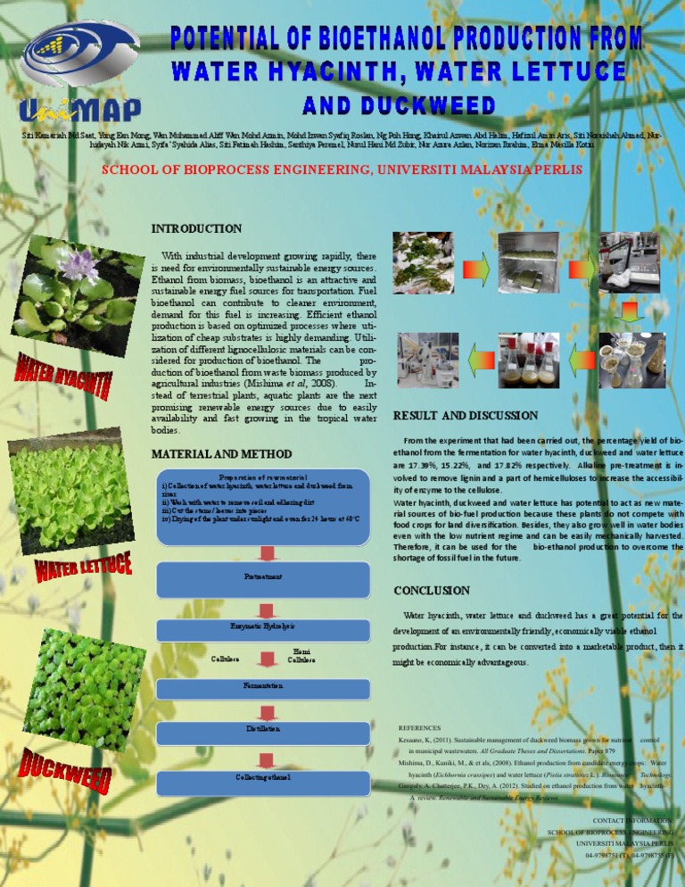 Bioethanol from Aquatic Plants | PDF | Biofuel | Sustainable Technologies