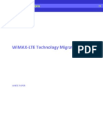 WiMAX LTE Technology Migration