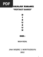 Download Makalah Rabies by Diego Rio MaLdini SN130511139 doc pdf