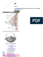 Mammary Gland