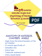 Anatomy of Anterior Chamber Angle and Physiology of
