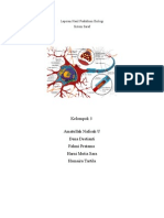 Laporan Hasil Praktikum Biologi Sistem Saraf