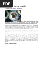 Download Menangkar Burung Cucak Ijo by Hugh Gerard SN130541037 doc pdf