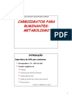 Metabolismo - 02 Slides