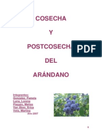 Cosecha y Poscosecha Del Arandano