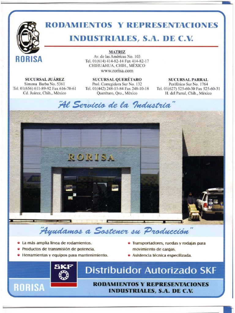 PDF Rorisa | PDF