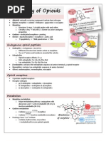 Chemistry of Opioids Jaki