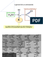 Unidad i Bioquimica Aminoacidos-proteinas-Enzimas