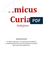 Amicus Curiae Defintions R1