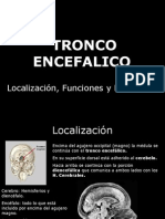 Tronco Encefalico