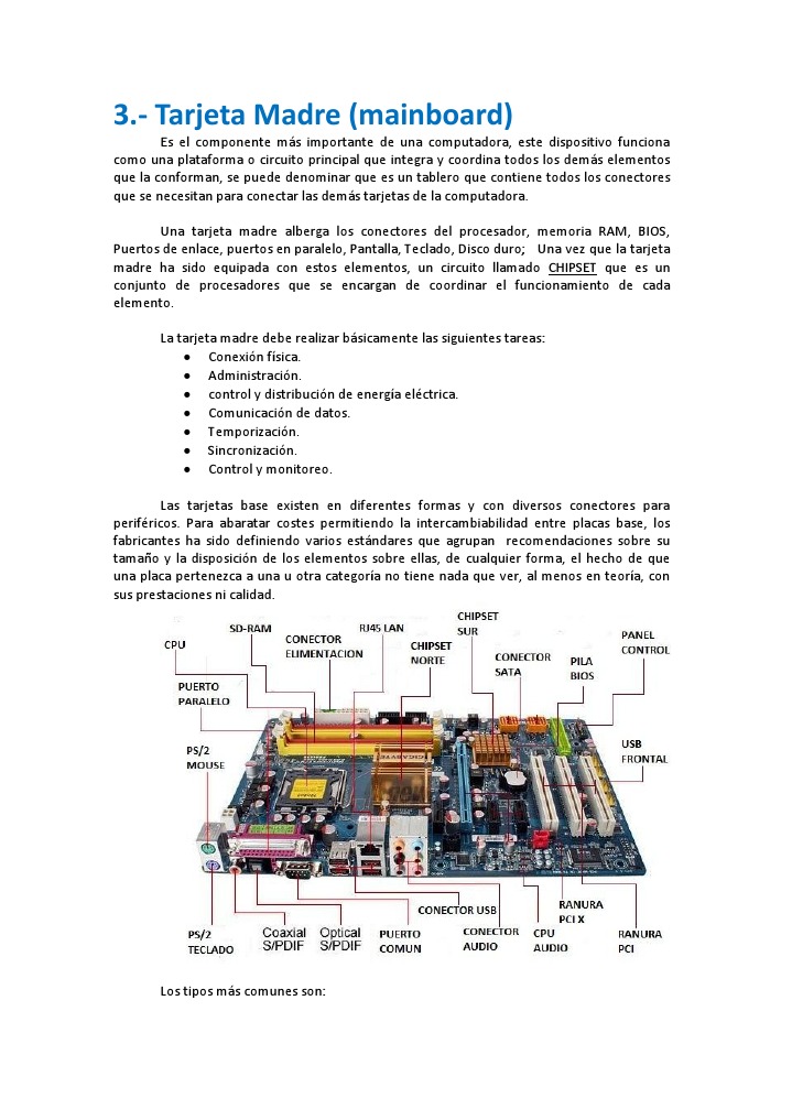 Tarjeta Madre | PDF | Microprocesador | Compatibles con PC Ibm