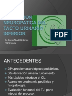 DISFUNCION NEUROPATICA DEL TACTO URINARIO INFERIOR.ppt