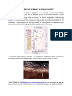 Perfil Del Suelo y Sus Horizontes