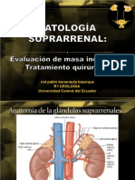 Patologia Suprarrenal