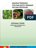 1.4. Pedum-Budidaya-Perlutan-Pala