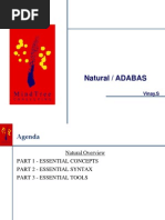 Adabas Basics