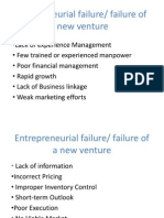 Entrepreneurial Failure/ Failure of A New Venture