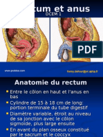 cc rectum et anus