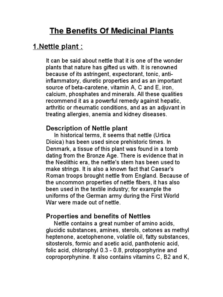 The Benefits Of Medicinal Plants Fennel Juice