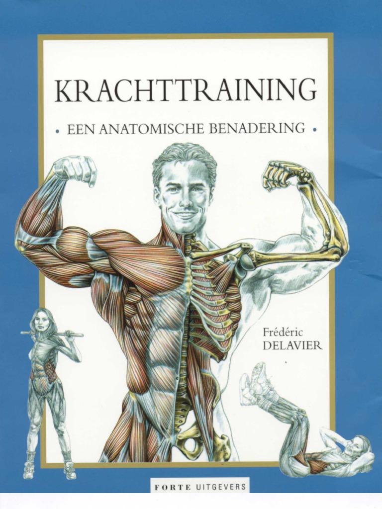 Anatomy of Bodybuilding 2