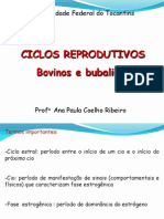 4 - Ciclos reprodutivos 1